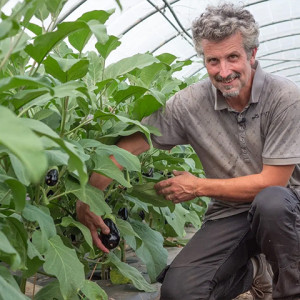 profile